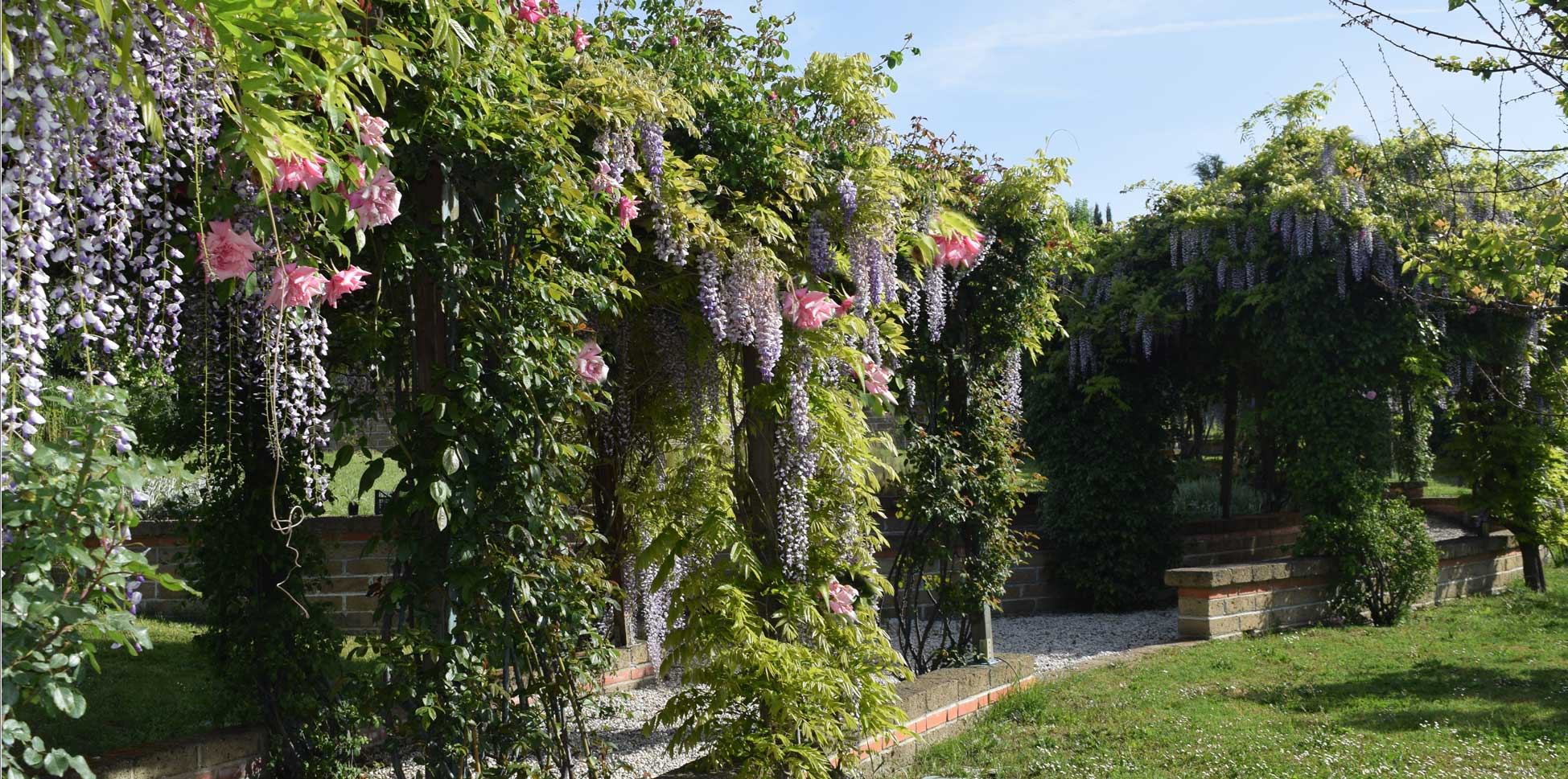 FAMILY GARDEN IN TREVIGNANO ROMANO (ITALY)