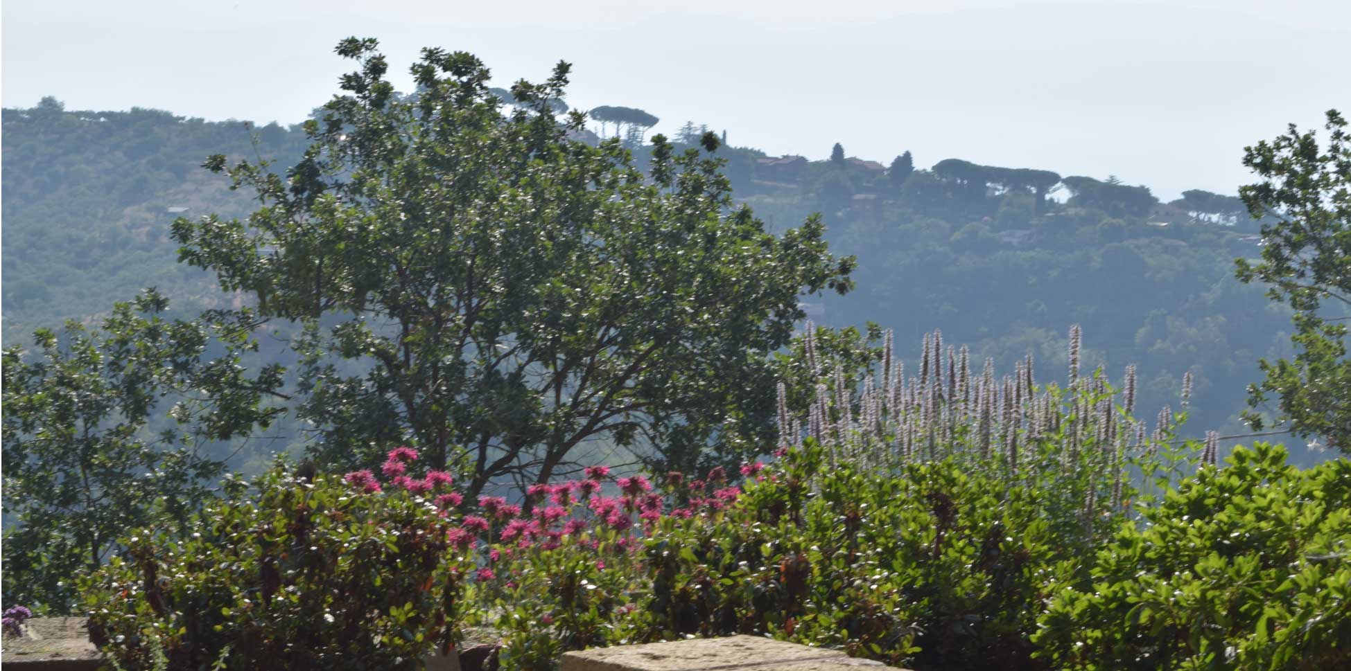 FAMILY GARDEN IN CASTELNUOVO DI PORTO (ITALY)